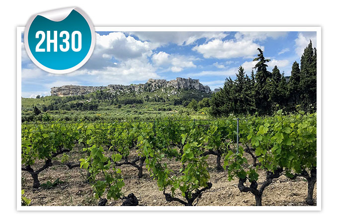 Sortie viticole trottinette électrique tout terrain Les Baux de Provence